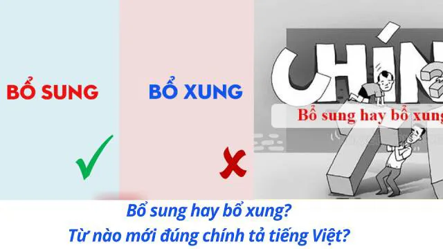 Bổ sung hay bổ xung? Từ nào mới đúng chính tả tiếng Việt?