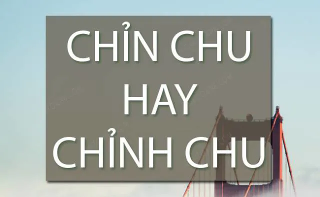 Chỉn chu hay chỉnh chu? Nếu bạn chưa biết từ nào đúng thì đừng bỏ qua bài viết