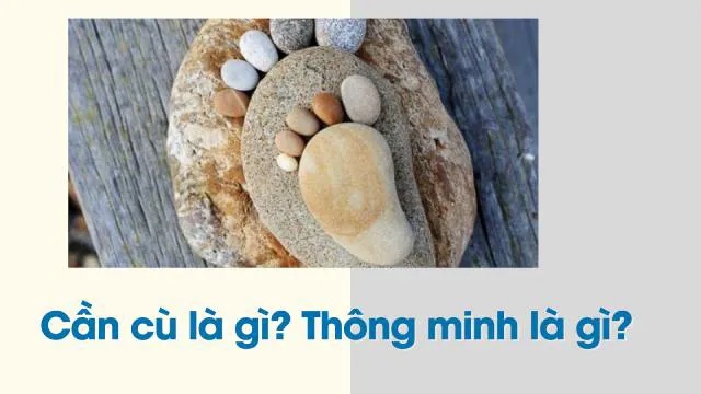 Giải thích câu tục ngữ “cần cù bù thông minh” có nghĩa gì?