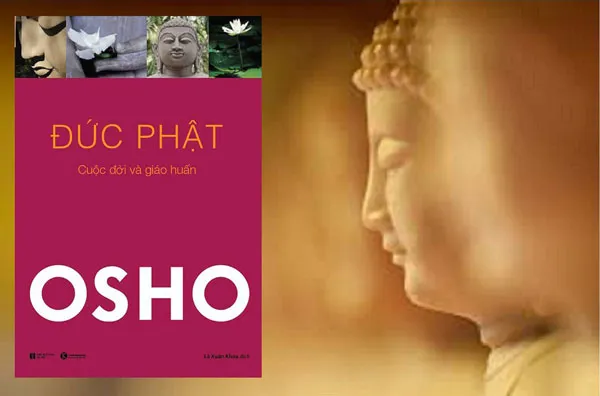 Top 5 cuốn sách hay nhất của bậc thầy tâm linh Osho nên đọc