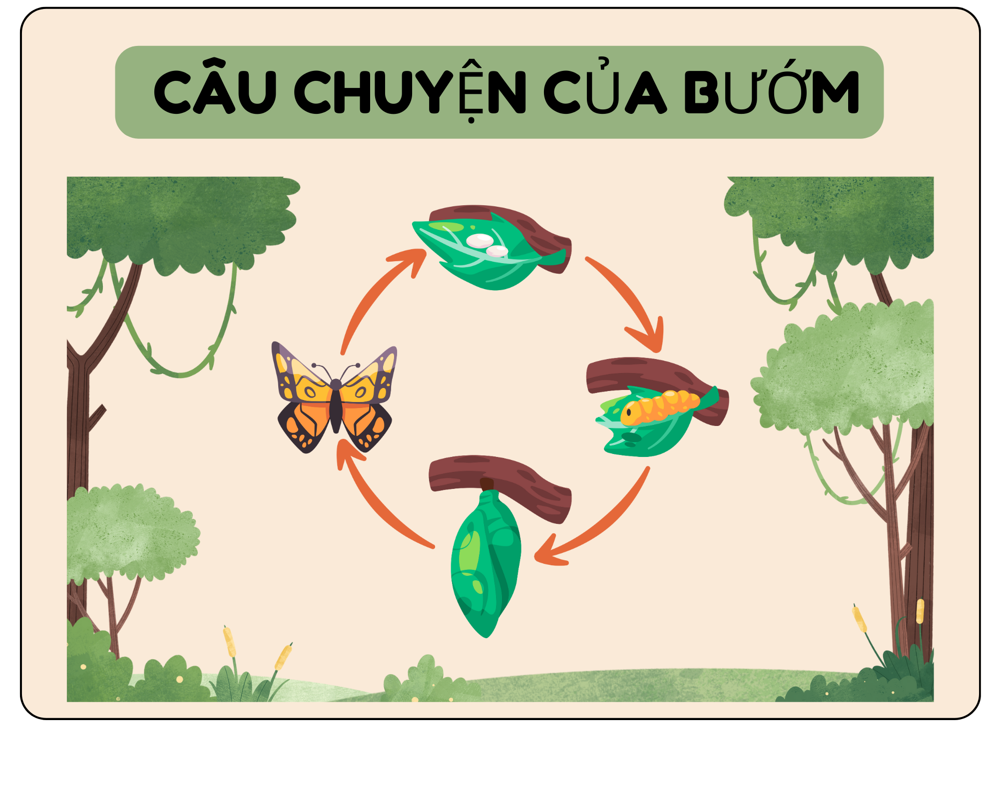 Truyện tranh Câu chuyện của bướm