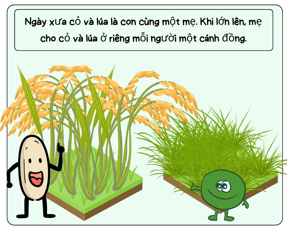 Truyện tranh Cỏ và Lúa