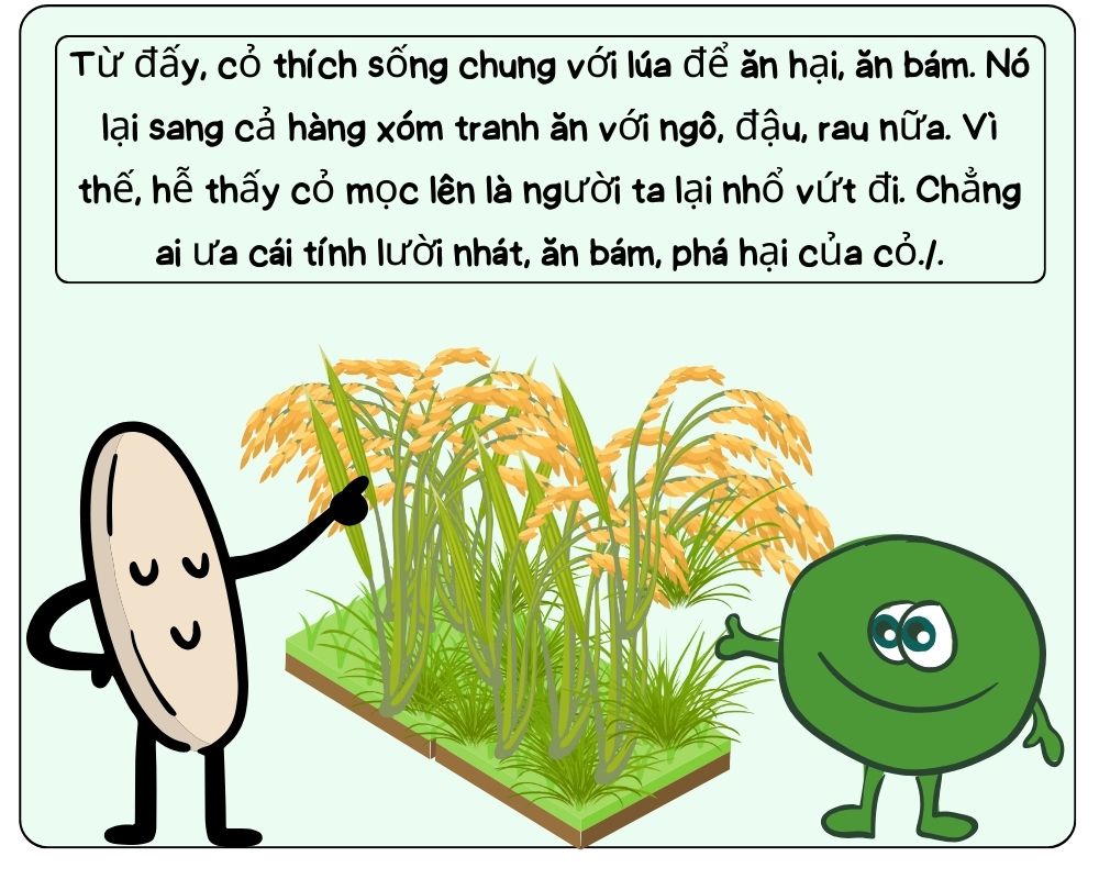 Truyện tranh Cỏ và Lúa