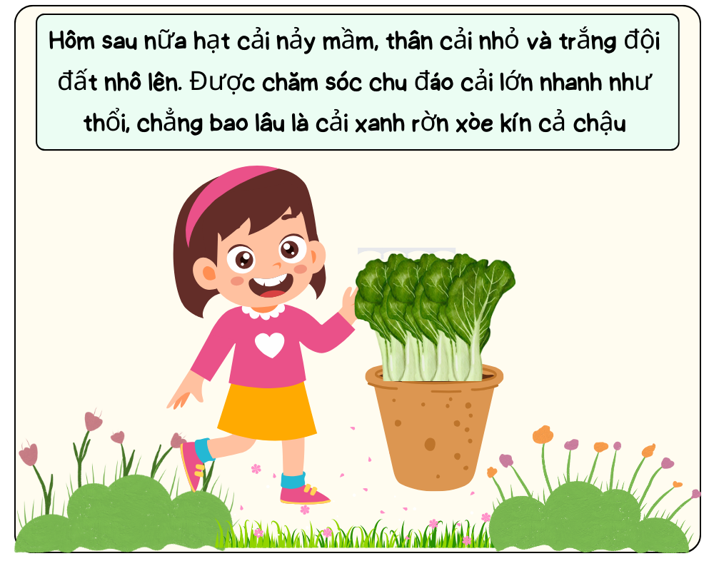 Truyện tranh Niềm vui từ bát canh cải